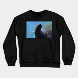 Sea Lion Crewneck Sweatshirt